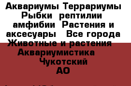 Аквариумы.Террариумы.Рыбки, рептилии, амфибии. Растения и аксесуары - Все города Животные и растения » Аквариумистика   . Чукотский АО